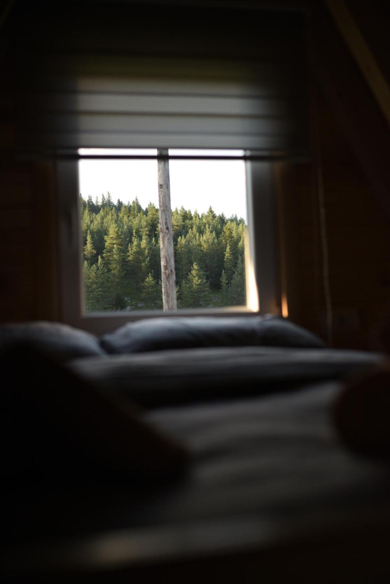 Mountain Paradise Cabin #1 Žabljak Dış mekan fotoğraf